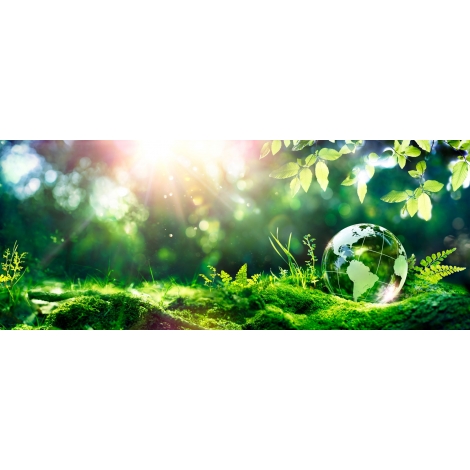 Ballade en forêt - CALS